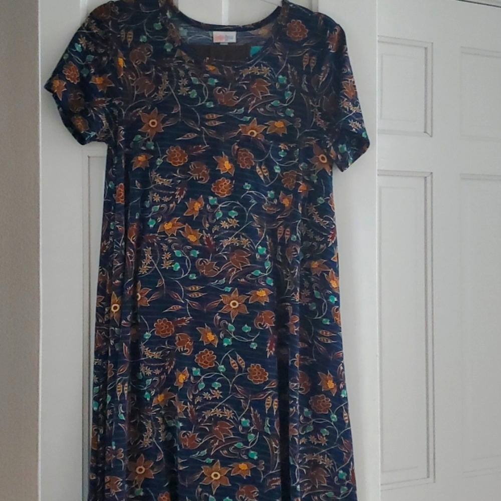 LuLaRoe XS Carly